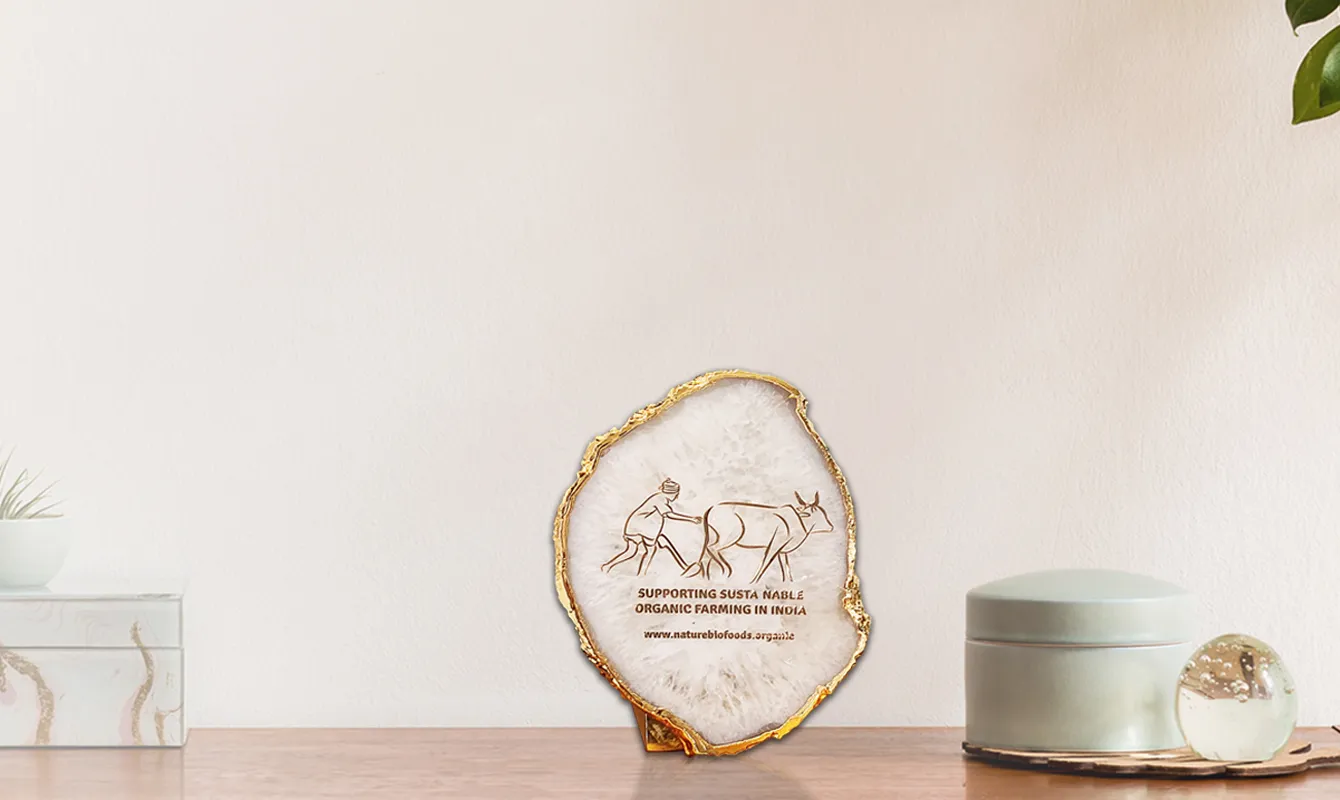 Earth’s Gem Gallery: Healing Agate Marble Gifts