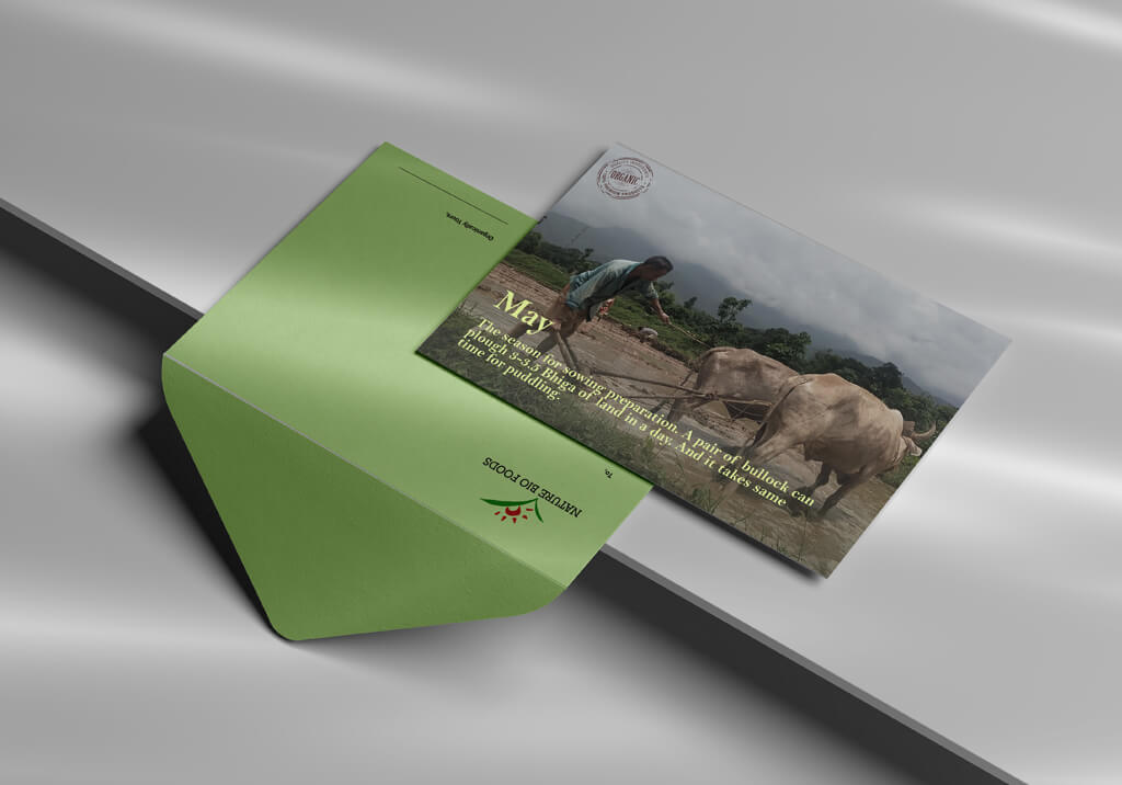 MicrosoftTeams-image (39)